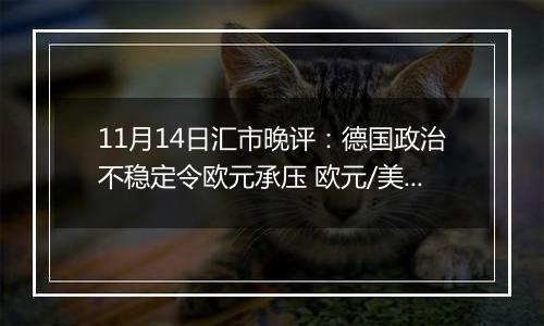 11月14日汇市晚评：德国政治不稳定令欧元承压 欧元/美元跌至一年来最低水平