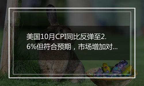 美国10月CPI同比反弹至2.6%但符合预期，市场增加对美联储12月降息的押注