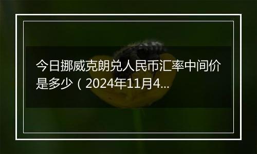 今日挪威克朗兑人民币汇率中间价是多少（2024年11月4日）