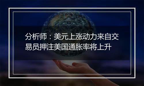 分析师：美元上涨动力来自交易员押注美国通胀率将上升