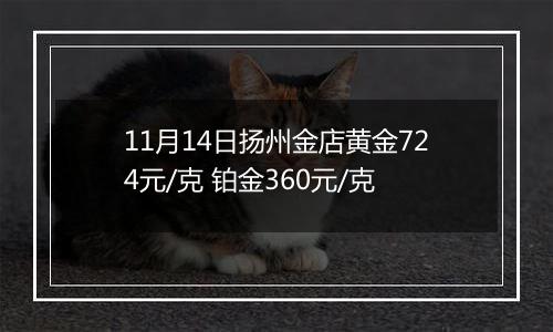 11月14日扬州金店黄金724元/克 铂金360元/克