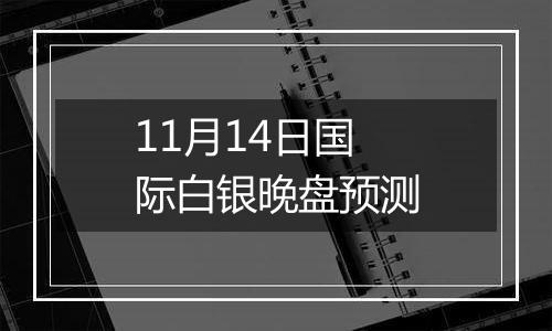 11月14日国际白银晚盘预测