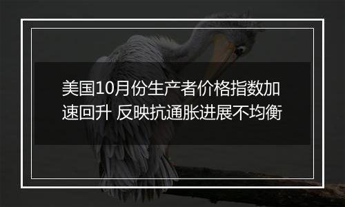 美国10月份生产者价格指数加速回升 反映抗通胀进展不均衡