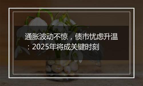 通胀波动不惊，债市忧虑升温：2025年将成关键时刻