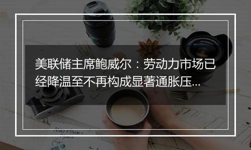 美联储主席鲍威尔：劳动力市场已经降温至不再构成显著通胀压力的程度