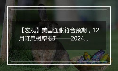 【宏观】美国通胀符合预期，12月降息概率提升——2024年10月美国CPI数据点评（高瑞东/刘星辰）