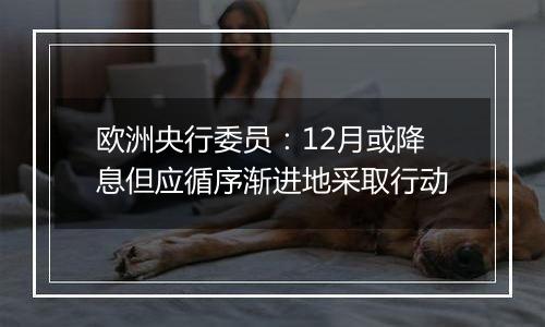 欧洲央行委员：12月或降息但应循序渐进地采取行动