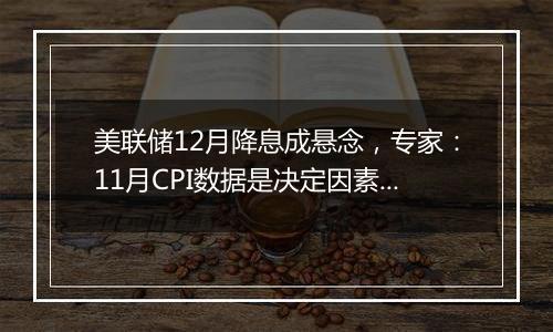 美联储12月降息成悬念，专家：11月CPI数据是决定因素｜宅男财经