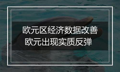 欧元区经济数据改善 欧元出现实质反弹