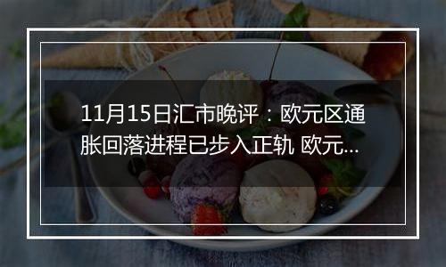 11月15日汇市晚评：欧元区通胀回落进程已步入正轨 欧元/美元结束五连跌