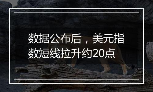 数据公布后，美元指数短线拉升约20点