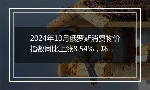 2024年10月俄罗斯消费物价指数同比上涨8.54%，环比上涨0.75%