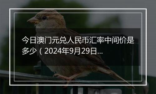 今日澳门元兑人民币汇率中间价是多少（2024年9月29日）