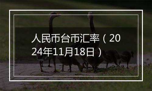 人民币台币汇率（2024年11月18日）