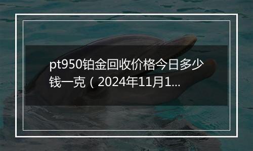 pt950铂金回收价格今日多少钱一克（2024年11月18日）