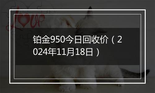 铂金950今日回收价（2024年11月18日）