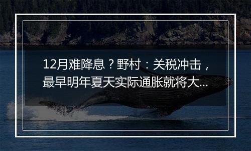 12月难降息？野村：关税冲击，最早明年夏天实际通胀就将大涨