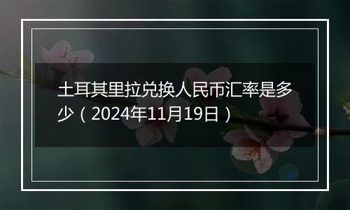 土耳其里拉兑换人民币汇率是多少（2024年11月19日）