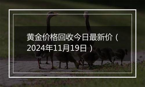 黄金价格回收今日最新价（2024年11月19日）