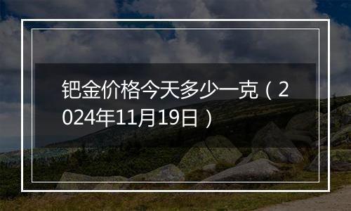 钯金价格今天多少一克（2024年11月19日）