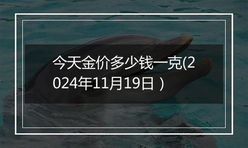 今天金价多少钱一克(2024年11月19日）