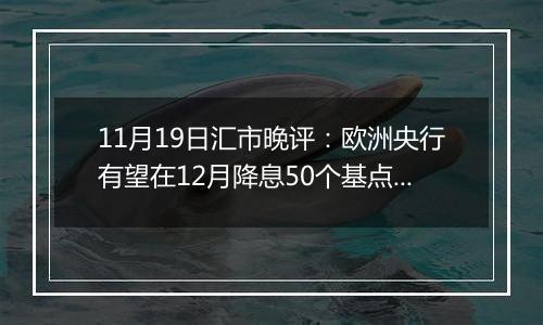 11月19日汇市晚评：欧洲央行有望在12月降息50个基点 欧元/美元在近期下跌后略有回升