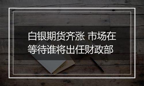 白银期货齐涨 市场在等待谁将出任财政部