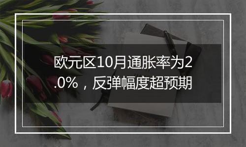 欧元区10月通胀率为2.0%，反弹幅度超预期