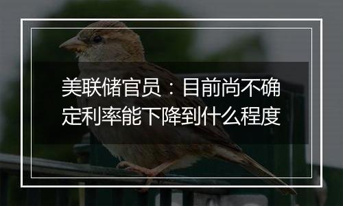 美联储官员：目前尚不确定利率能下降到什么程度