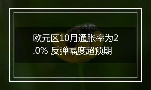 欧元区10月通胀率为2.0% 反弹幅度超预期