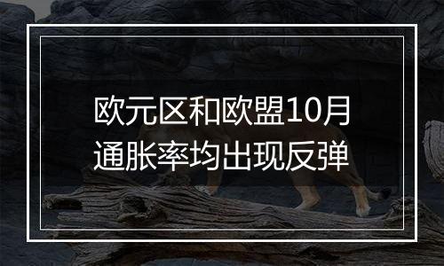 欧元区和欧盟10月通胀率均出现反弹