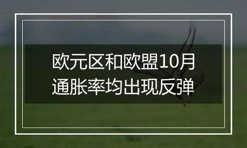 欧元区和欧盟10月通胀率均出现反弹