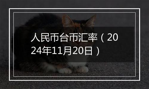 人民币台币汇率（2024年11月20日）