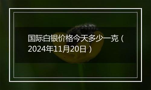 国际白银价格今天多少一克（2024年11月20日）