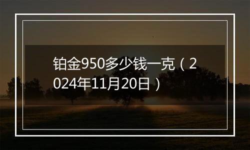 铂金950多少钱一克（2024年11月20日）