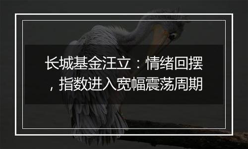 长城基金汪立：情绪回摆，指数进入宽幅震荡周期