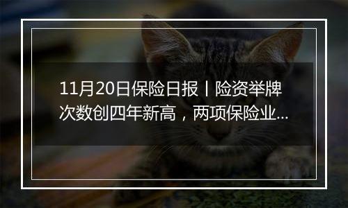 11月20日保险日报丨险资举牌次数创四年新高，两项保险业标准出炉，规范人身险和车险理赔服务