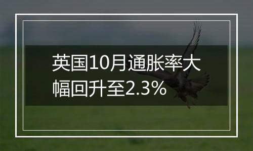 英国10月通胀率大幅回升至2.3%