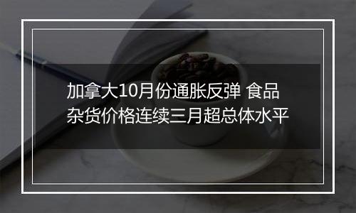 加拿大10月份通胀反弹 食品杂货价格连续三月超总体水平