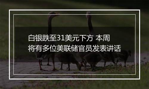 白银跌至31美元下方 本周将有多位美联储官员发表讲话