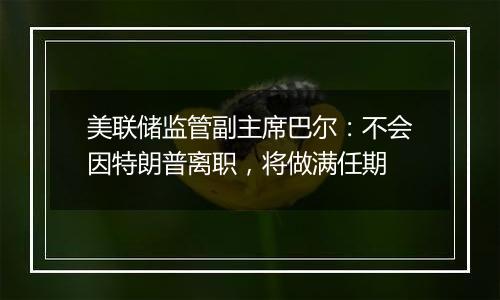 美联储监管副主席巴尔：不会因特朗普离职，将做满任期