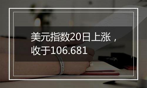 美元指数20日上涨，收于106.681