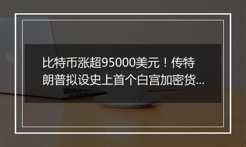 比特币涨超95000美元！传特朗普拟设史上首个白宫加密货币职位