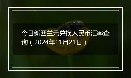 今日新西兰元兑换人民币汇率查询（2024年11月21日）