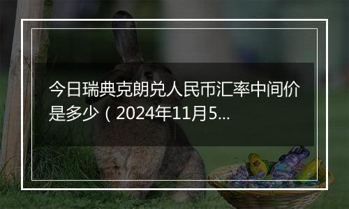 今日瑞典克朗兑人民币汇率中间价是多少（2024年11月5日）