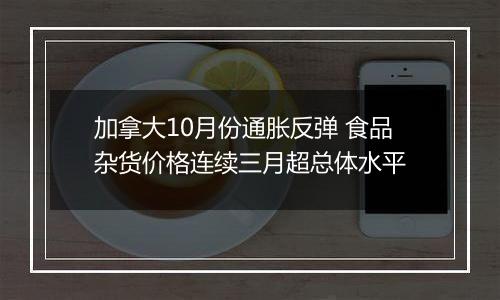 加拿大10月份通胀反弹 食品杂货价格连续三月超总体水平