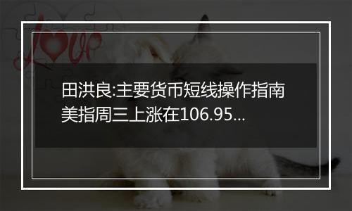 田洪良:主要货币短线操作指南 美指周三上涨在106.95之下遇阻