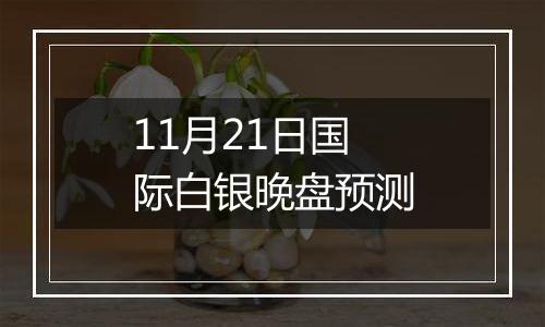 11月21日国际白银晚盘预测