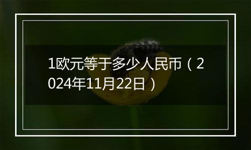 1欧元等于多少人民币（2024年11月22日）