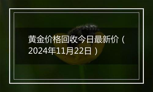 黄金价格回收今日最新价（2024年11月22日）